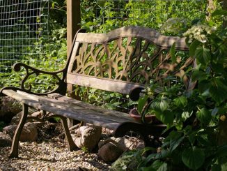Holzbank im Schatten bei einer Hitzewelle im Sommer