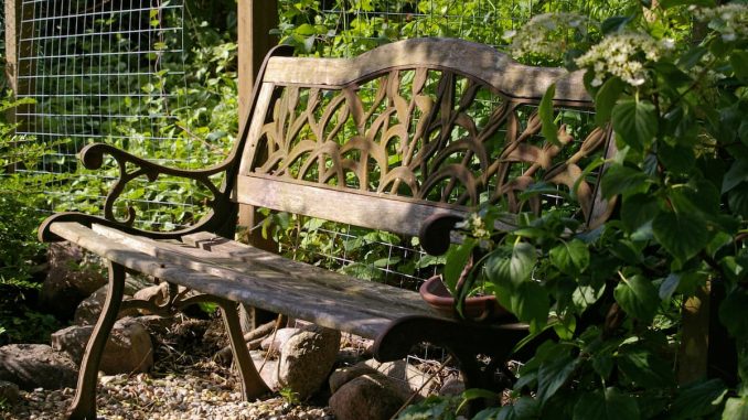 Holzbank im Schatten bei einer Hitzewelle im Sommer
